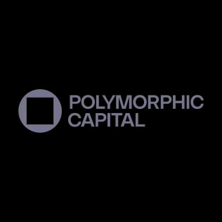 Polyamorphic Capital